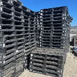 Used Plastic Pallets - Stackable, 4 - Way, 48 × 40" 1