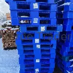 Used Plastic Pallets - Stackable, 4 - Way, 43 × 43" 3