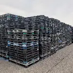 Used Plastic Pallets - Rackable, 4 - Way, 56 × 44" 2