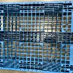 Used Plastic Pallets - Stackable, 4 - Way, 48 × 40" 2